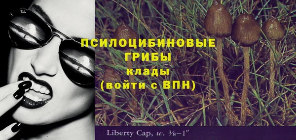 МДПВ Приозерск