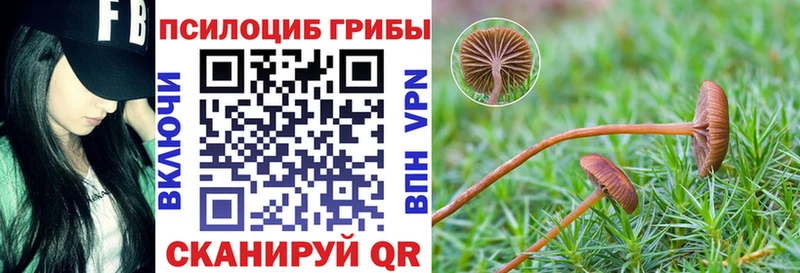 Галлюциногенные грибы прущие грибы  нарко площадка какой сайт  Бежецк 