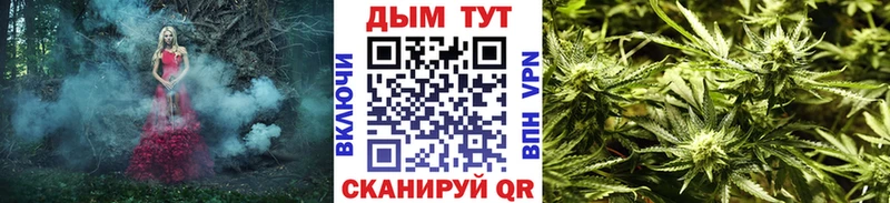 Бошки марихуана ГИДРОПОН дарнет шоп Бежецк